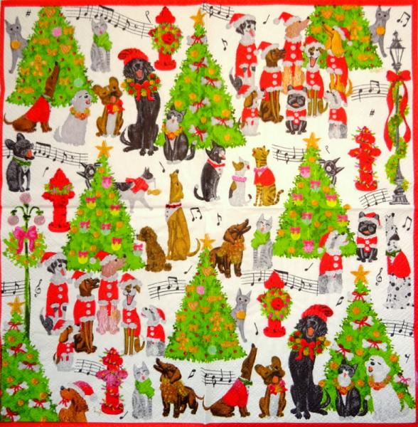 HUN-878 Hunde - 3-lagig - Caspari - CS
